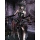 Blood Supply Legacy of the Undead Asymmetric Tulle Skirt(Full Payment Without Shipping)